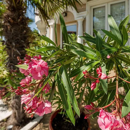 ホテル Family Paros ポモリエ