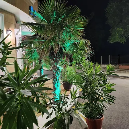 帕罗斯酒店 酒店 3*