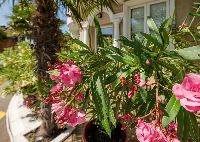 Hotel Family Paros Pomorie